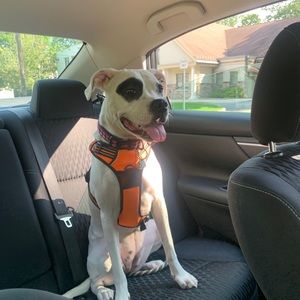 Meet your Posher, Salli